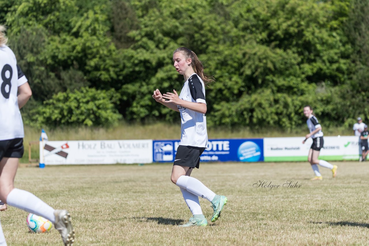 Bild 227 - wBJ TuRa Meldorf/Buesum - JFV Luebeck : Ergebnis: 1:0